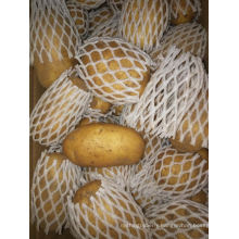 Fresh Potato, Potato, 2020 New Crop Fresh Potato, Fresh Vegetables High Quality